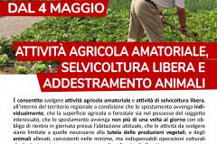 Fase 2 - Attività agricola selvicoltura