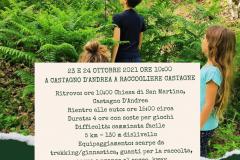 a spasso nel bosco 