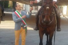 Cavalcanti della tradizione. 13 settembre 2016