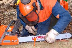 Centro di Formazione Forestale di Rincine www.formazioneforestale.it Centro di Formazione Forestale di Rincine www.formazioneforestale.it