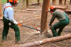 Centro di Formazione Forestale di Rincine www.formazioneforestale.it Centro di Formazione Forestale di Rincine www.formazioneforestale.it