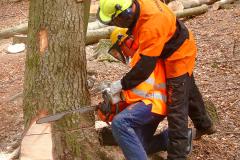 Centro di Formazione Forestale di Rincine www.formazioneforestale.it Centro di Formazione Forestale di Rincine www.formazioneforestale.it