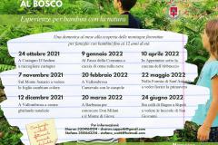 a spasso nel bosco 