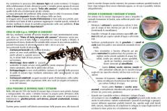 Lotta alla zanzara tigre. Informazione, prevenzione e collaborazione per combattere la zanzare tigre