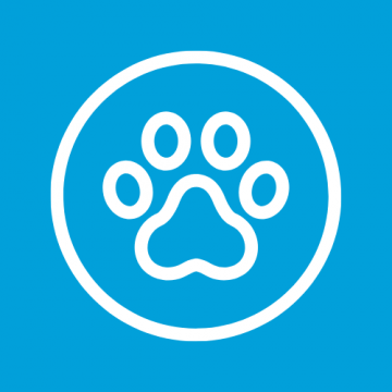 Pontassieve. Anagrafe canina e veterinaria Pontassieve. Anagrafe canina e veterinaria