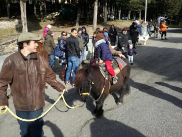 benedizione animali benedizione animali