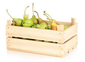 Pontassieve. Frutta di stagione a km zero nelle mense scolastiche Pontassieve. Frutta di stagione a km zero nelle mense scolastiche
