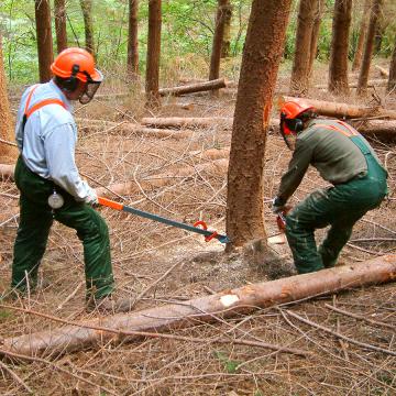 Centro formazione forestale Rincine - Calendario corsi 2021