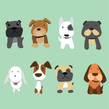 anagrafe canina anagrafe canina