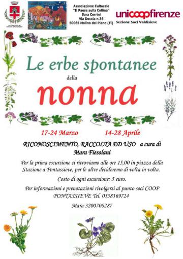 Le erbe spontanee della nonna. Pontassieve, 2018 Le erbe spontanee della nonna. Pontassieve, 2018