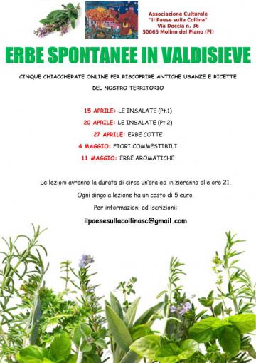 Erbe spontanee in Valdisieve. Martedì 27 aprile 2021 Erbe spontanee in Valdisieve. Martedì 27 aprile 2021