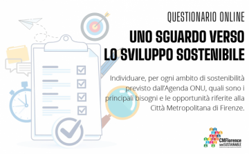 Agenda Metropolitana 2030 per lo Sviluppo Sostenibile, Questionari dal titolo Uno sguardo verso lo Sviluppo Sostenibile
