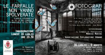 Pontassieve, 16/07/2018. La ali delle farfalle non si spolverano Pontassieve, 16/07/2018. La ali delle farfalle non si spolverano