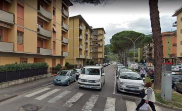 Pontassieve, via Labriola. Interventi di sicurezza: sostituzione delle alberature