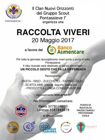 scout viveri