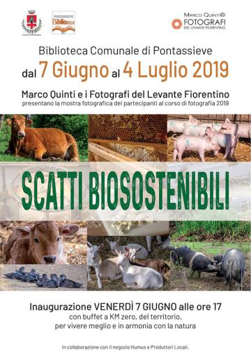scattibio scattibio