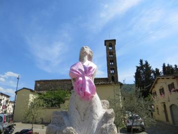 sieci rosa sieci rosa