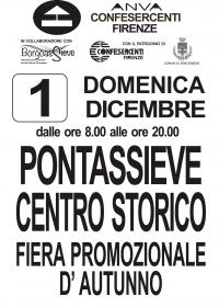 Fiera promozionale d’autunno. 1 dicembre 2019 
