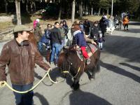 benedizione animali 