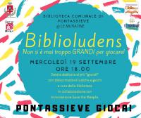 biblioludens