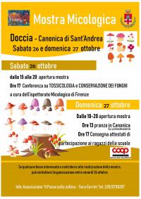 locandina funghi