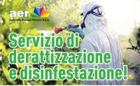 AER spa. Servizio di derattizzazione e disinfestazione