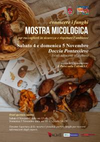 Sabato 4 e domenica 5 novembre 2023 nella canonica della Chiesta di Sant’Andrea a Doccia