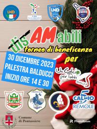 Torneo di beneficenza DisAMabili 2023