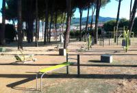 palestra curiel