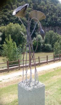 I papaveri sono alti alti