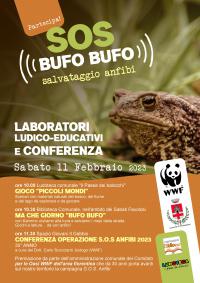Operazione S.O.S. Anfibi. Pontassieve, sabato 11 febbraio 2023 