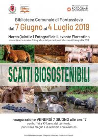 scattibio