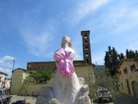 sieci rosa 