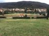 Pontassieve. Area Cani a Sieci. Partito il cantiere nella zona dei Mandorli
