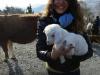 Benedizione degli animali. Festa di Sant’Antonio Abate