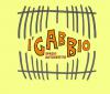 gabbio