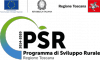 PSR Programma di Sviluppo Rurale 