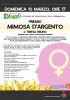 mimosa argento