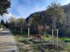 9 dicembre 2020. Terminati i lavori di risistemazione del Parco Fluviale Fabrizio De André e della pista ciclabile