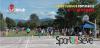 sportassieve