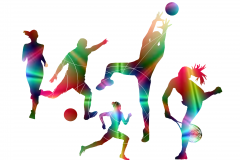 sportassieve 2017
