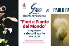 Fiori e piante dal mondo. Pontassieve 