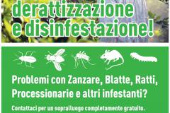Locandina disinfestazione 