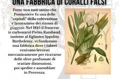 Pontassieve 1825: una fabbrica di coralli falsi. 28 marzo 2023 ore 17 al Museo GEO