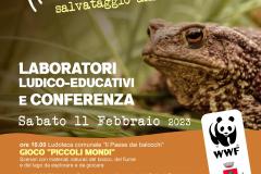 Operazione S.O.S. Anfibi. Pontassieve, sabato 11 febbraio 2023 