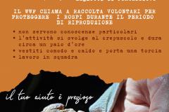 Pontassieve, Il WWF cerca volontari per il progetto SOS anfibi 2023