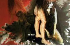 Simonetta Fontani, Oltre l’involucro. Comune di Pontassieve, Sala delle Eroine. 10 maggio – 11 giugno 2018