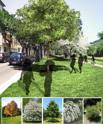 Nuova vita al parco di Viale Diaz