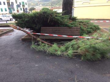 Avviso pubblico per procedura di rimborso danni alle strutture di proprietà privata danneggiate dagli eventi atmosferici del 28-29-30 ottobre 2018 nei comuni di Rufina, Pelago, Pontassieve e Reggello Avviso pubblico per procedura di rimborso danni alle strutture di proprietà privata danneggiate dagli eventi atmosferici del 28-29-30 ottobre 2018 nei comuni di Rufina, Pelago, Pontassieve e Reggello