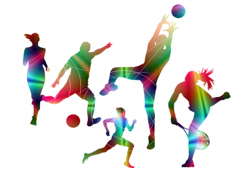 sportassieve 2017 sportassieve 2017